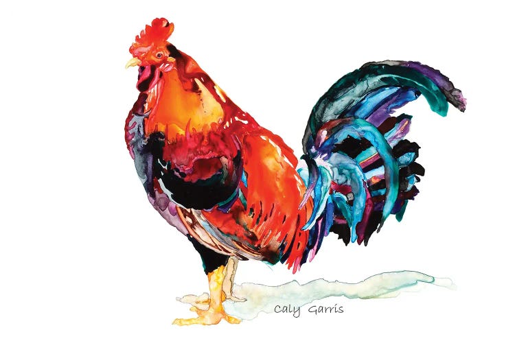 Chanticleer by Caly Garris wall art