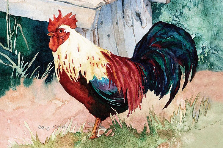 Cluck by Caly Garris wall art