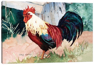 Cluck Canvas Art Print - Caly Garris