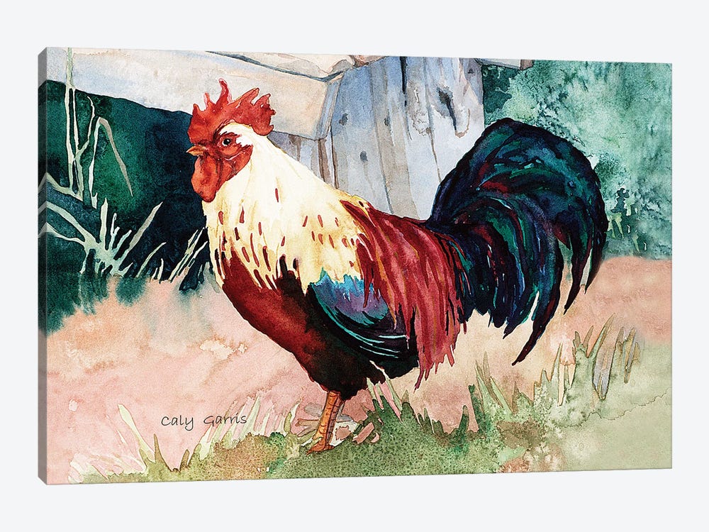 Cluck by Caly Garris 1-piece Canvas Print