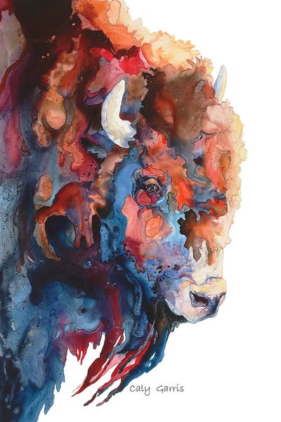 Americana by Caly Garris framed canvas print