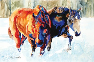 Crossing by Caly Garris framed canvas print