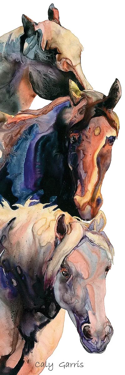 Dark Shadows by Caly Garris framed canvas print