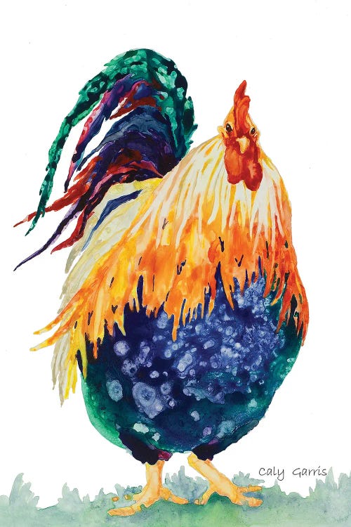 Dudley by Caly Garris wall art