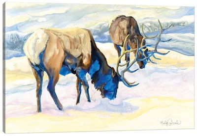 Elk Pair Canvas Art Print - Elk Art