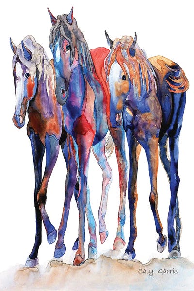 Fun House Fillies II by Caly Garris framed canvas print