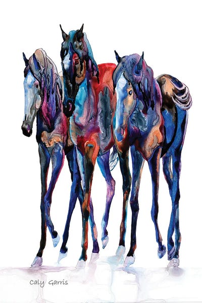 Funn House Fillies by Caly Garris framed canvas print