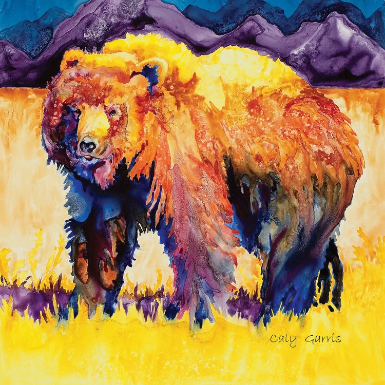 Grizzly Summer by Caly Garris wall art