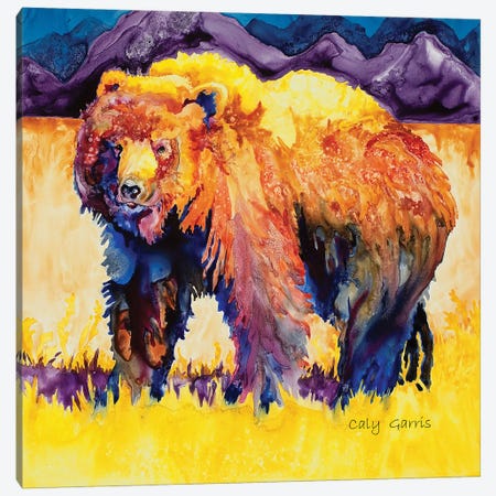 Grizzly Summer Canvas Print #GRL54} by Caly Garris Art Print