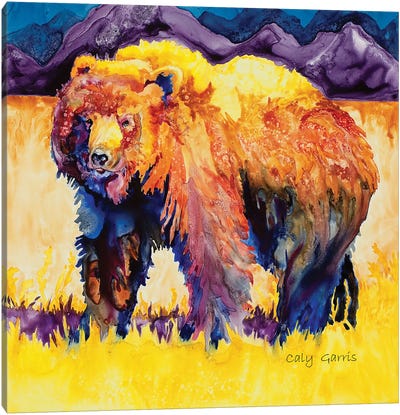 Grizzly Summer Canvas Art Print - Caly Garris