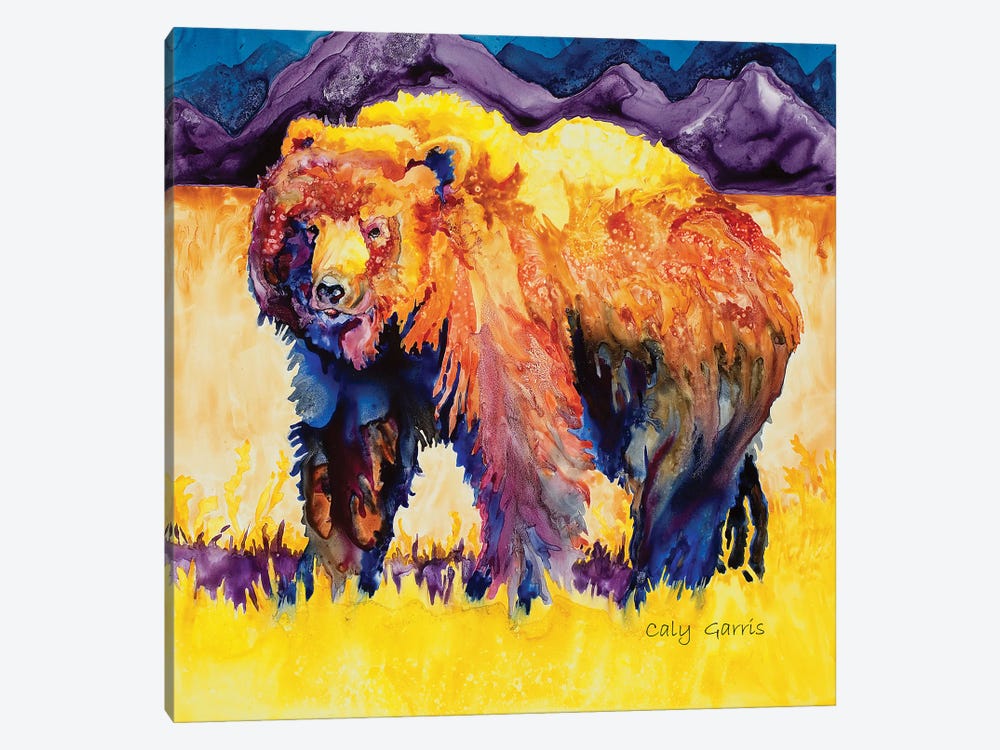 Grizzly Summer by Caly Garris 1-piece Canvas Artwork