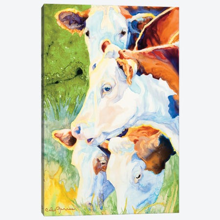 Happy Herefords Canvas Print #GRL55} by Caly Garris Canvas Print