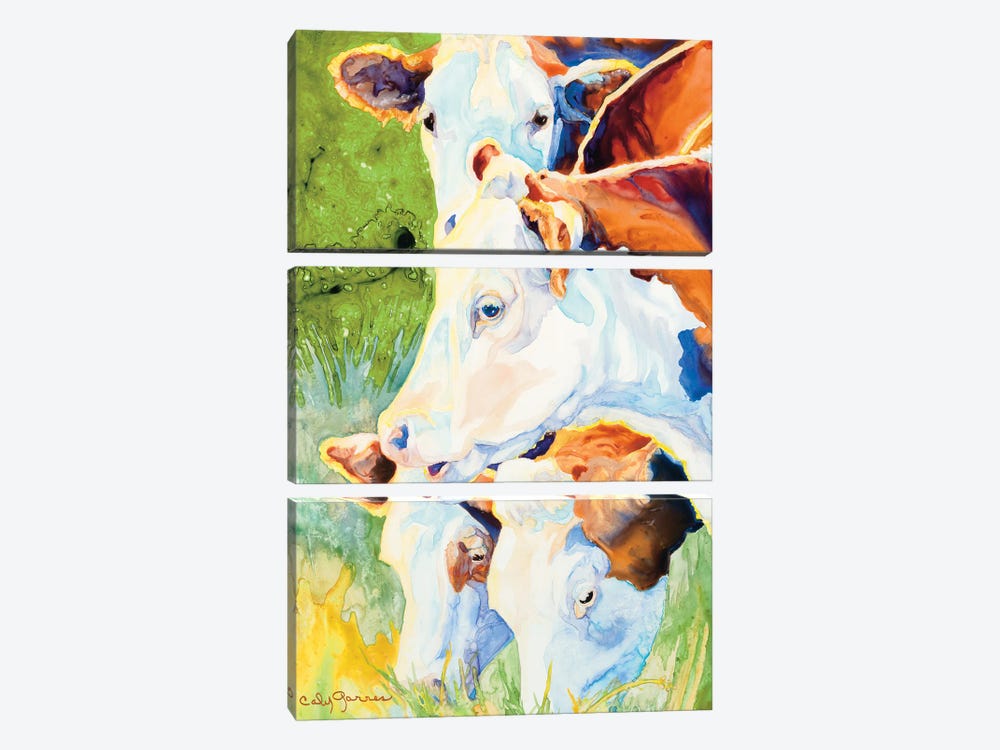 Happy Herefords by Caly Garris 3-piece Canvas Art Print