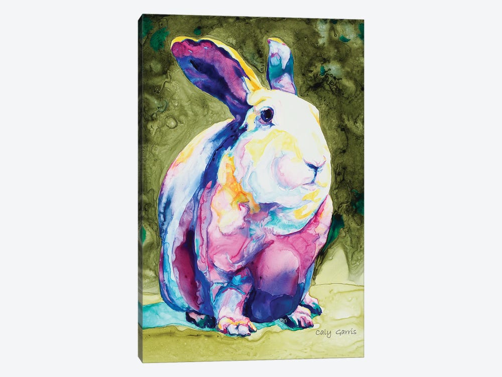 Hare Mione by Caly Garris 1-piece Canvas Wall Art