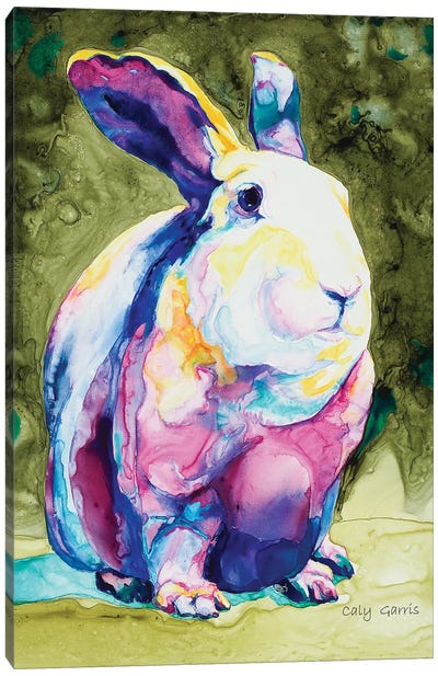 Hare Mione Canvas Art Print - Caly Garris