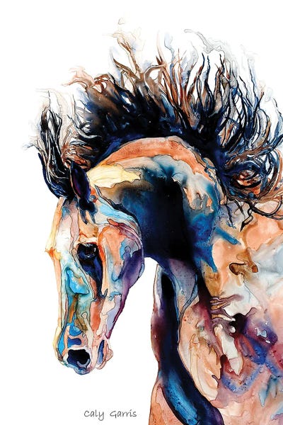 Main Event by Caly Garris framed canvas print