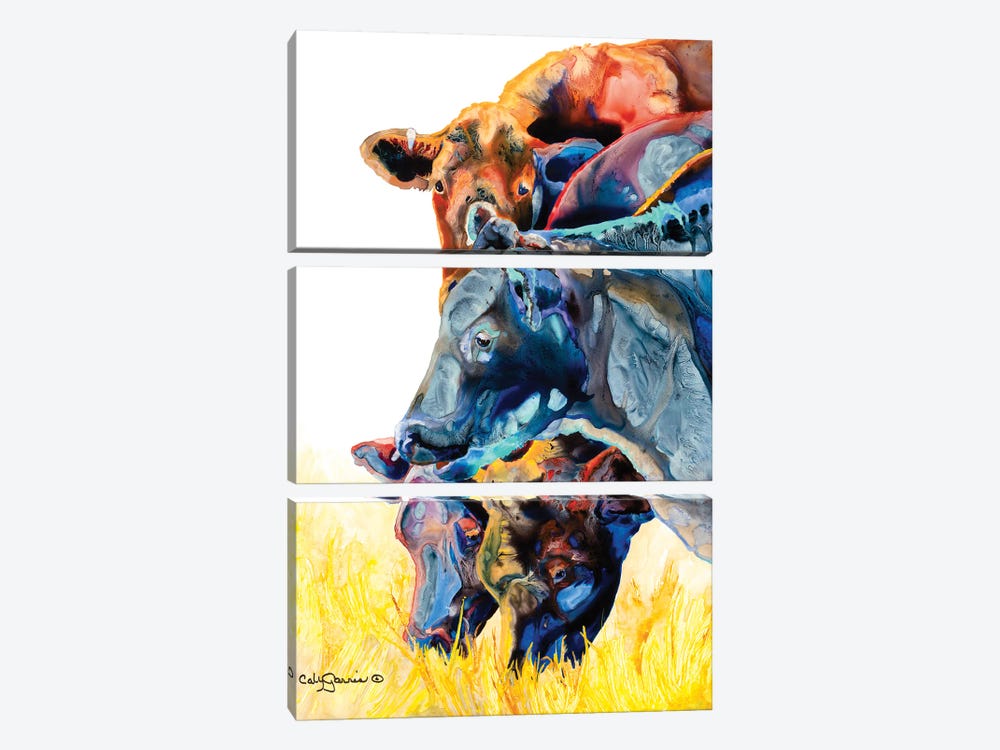 Merry Mooers Cows by Caly Garris 3-piece Canvas Art