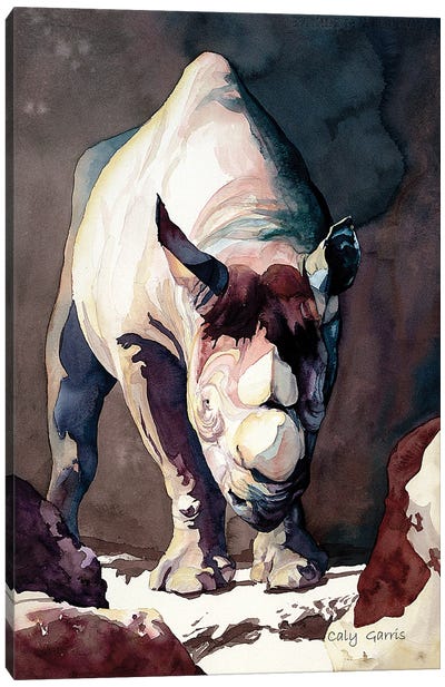 Morning Stretch Canvas Art Print - Rhinoceros Art