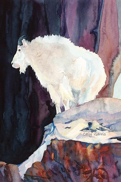 Mountain Sentinel by Caly Garris framed canvas print