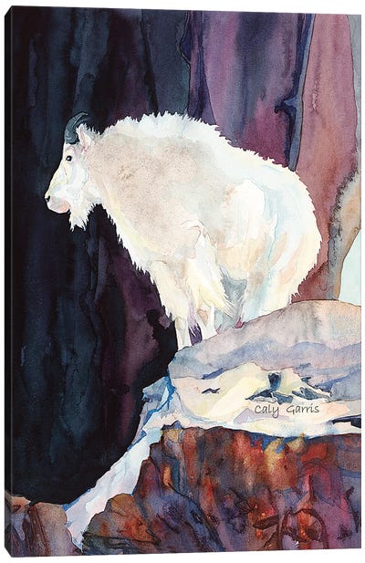 Mountain Sentinel Canvas Art Print - Goat Art