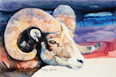 Natural Elements by Caly Garris framed canvas print