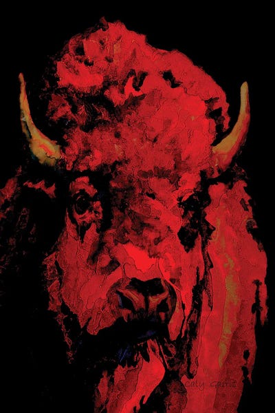 Night Ranger by Caly Garris framed canvas print