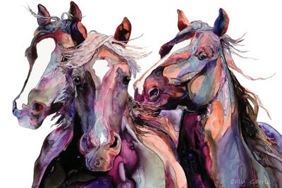 Purple Rein by Caly Garris framed canvas print