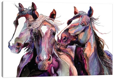 Purple Rein Canvas Art Print - Caly Garris