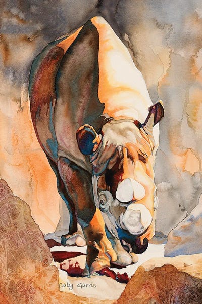 Rhino II by Caly Garris art print