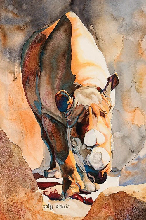 Rhino II by Caly Garris wall art