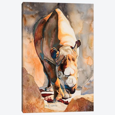 Rhino II Canvas Print #GRL83} by Caly Garris Canvas Print