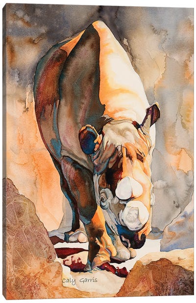 Rhino II Canvas Art Print - Rhinoceros Art