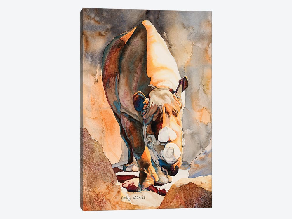 Rhino II by Caly Garris 1-piece Canvas Artwork