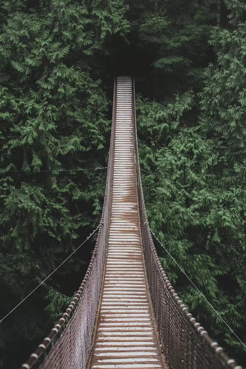 Lynn Valley Suspension Bridge