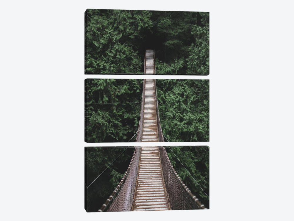 Lynn Valley Suspension Bridge by Luke Anthony Gram 3-piece Art Print