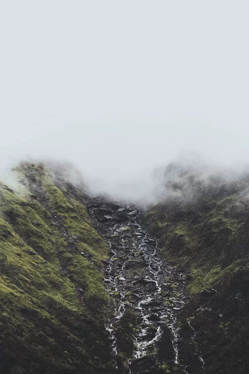 New Zealand II by Luke Anthony Gram wall art