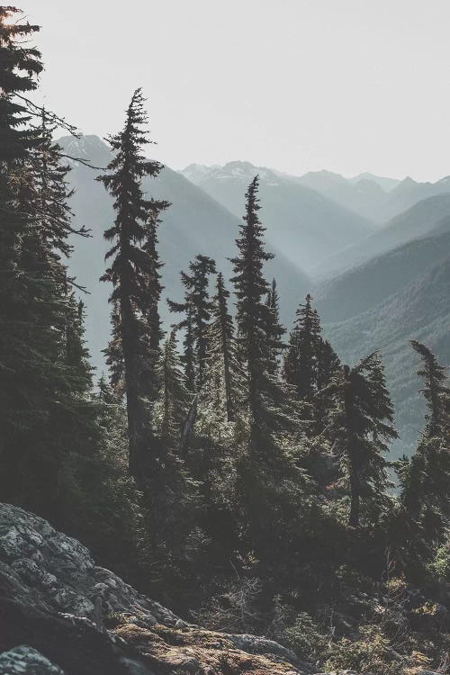 North Cascades National Forest, USA by Luke Anthony Gram wall art