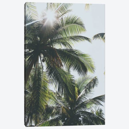 Palm Trees in the Philippines Canvas Print #GRM121} by Luke Anthony Gram Art Print