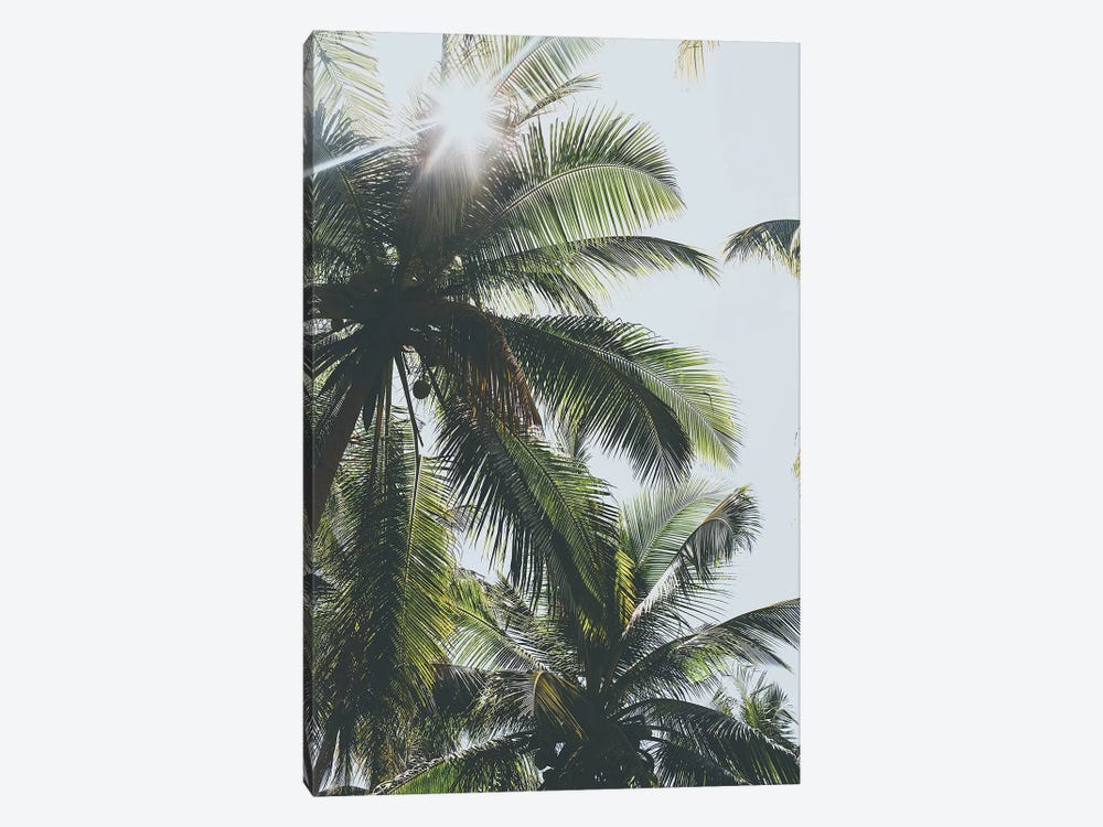 Palm Trees in the Philippines by Luke Anthony Gram 1-piece Canvas Artwork
