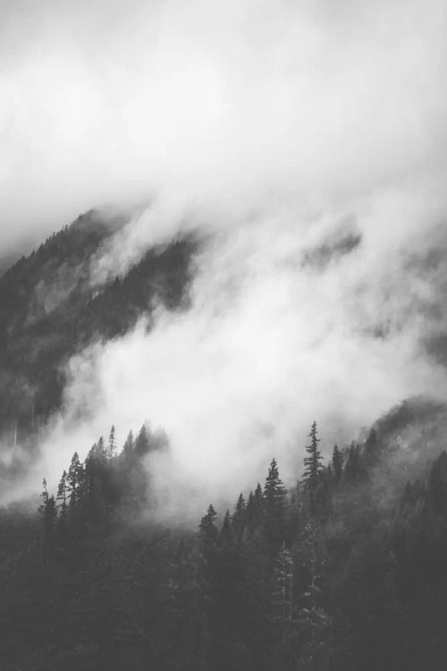 Rolling Fog II by Luke Anthony Gram wall art