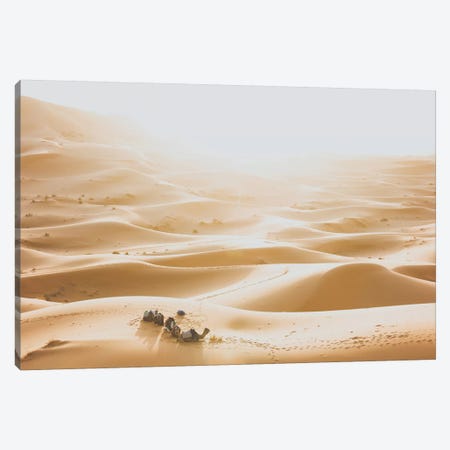 Sahara Desert Canvas Print #GRM134} by Luke Anthony Gram Canvas Art Print
