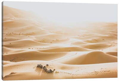 Sahara Desert Canvas Art Print - Luke Anthony Gram