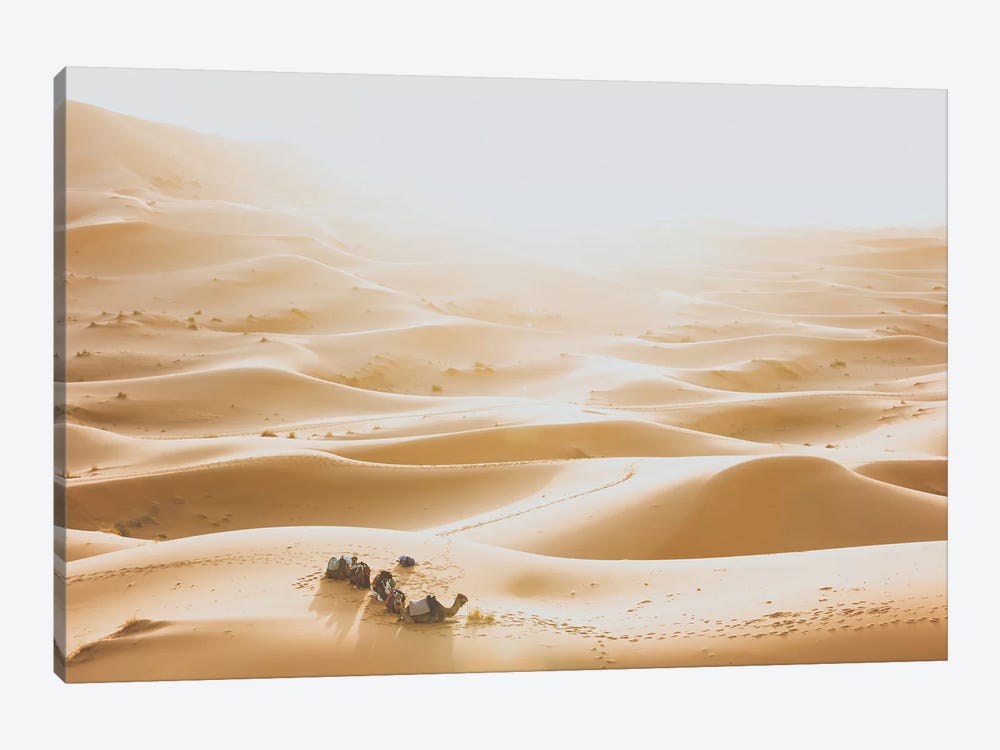 Sahara Desert by Luke Anthony Gram 1-piece Canvas Wall Art