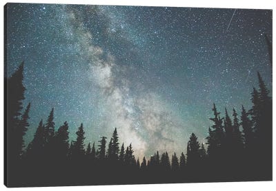 Stars Over The Forest III Canvas Art Print - Astronomy & Space Art