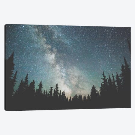 Stars Over The Forest III Canvas Print #GRM139} by Luke Anthony Gram Canvas Artwork