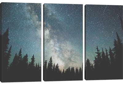 Stars Over The Forest III Canvas Art Print - 3-Piece Astronomy & Space Art