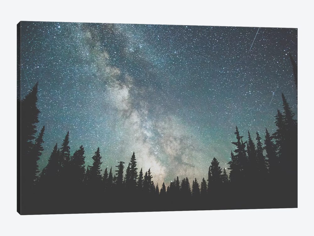 Stars Over The Forest III by Luke Anthony Gram 1-piece Canvas Print