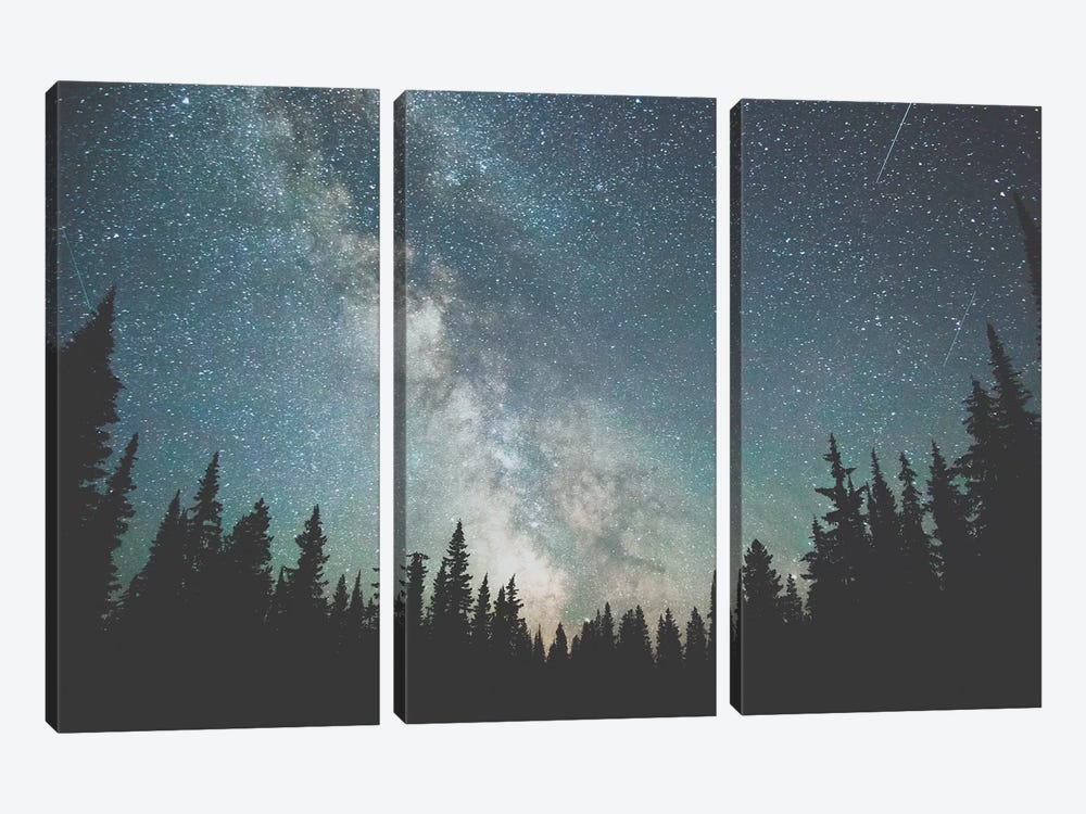Stars Over The Forest III by Luke Anthony Gram 3-piece Art Print