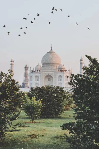 Taj Mahal: Taj Mahal, India I by Luke Anthony Gram