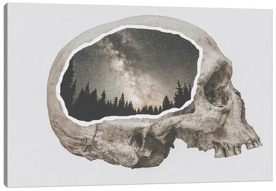 Within Nature I Canvas Art Print - Double Exposure Photography